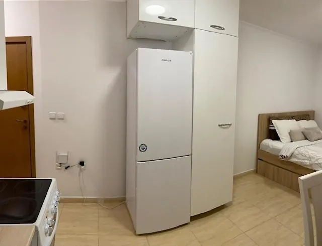 Appartamento Ski-in Ski-out 2a7 Grand Monastery